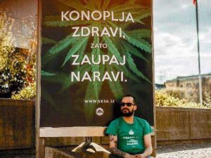 Kako poteka zdravljenje s konopljo