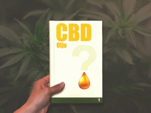 Za kaj je dobro CBD olje? (1. del)